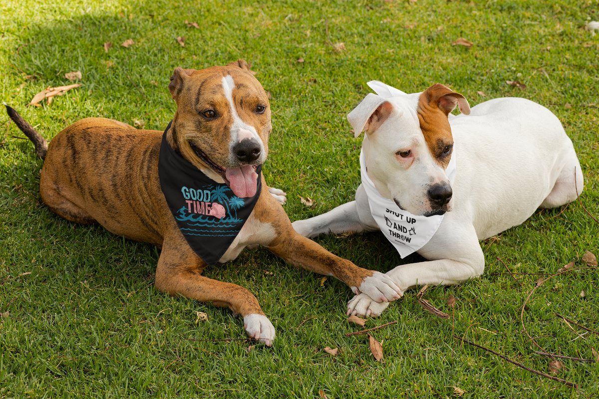 Pet bandana category photography